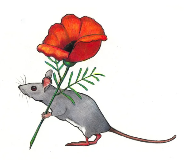 Мышь, несущая цветок: Цветной карандаш — стоковое фото