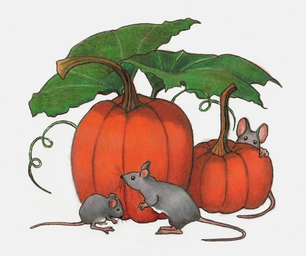 小鼠在南瓜玩: 彩色铅笔艺术 — 图库照片