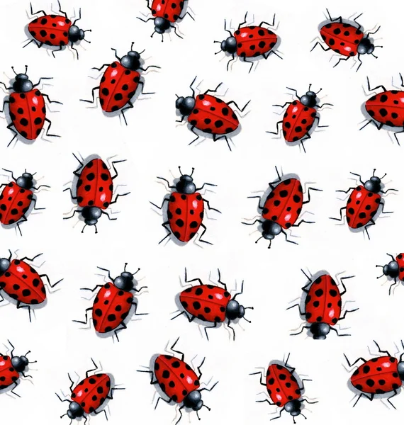 stock image Pattern of Realistic Ladybugs: Freehand Art