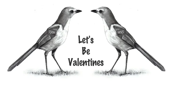 Dibujos a lápiz, Mano alzada, Aves: San Valentín — Foto de Stock