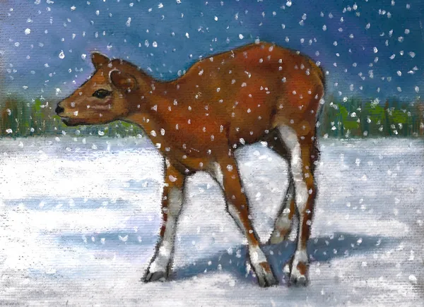 Malerei von kleinen Hirschen, Rehkitz im Schnee — Stockfoto