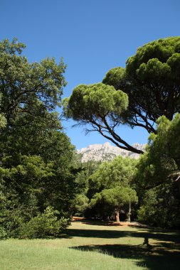 Park Kırım