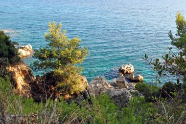 kayalık sahil