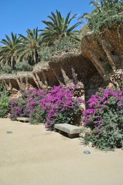 Barcelona Gaudi Guell Parkı