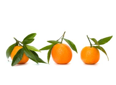 Tangerines clipart