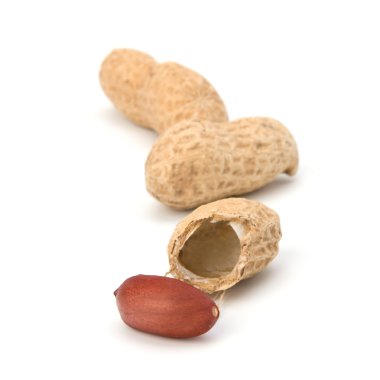 Fıstık