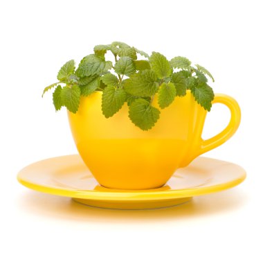 Herbal peppermint tea cup clipart