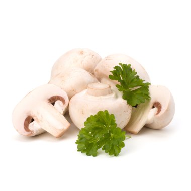 champignon mantar ve taze maydanoz