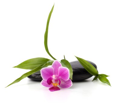 Spa and healthcare concept. Orchid and stones. clipart