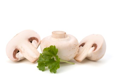 champignon mantar ve taze maydanoz