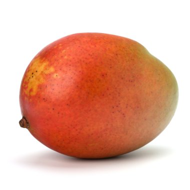 Mango meyve