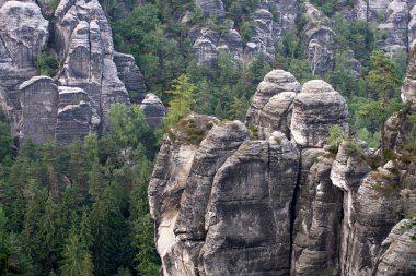 Alman Milli Parkı sachsische schweiz