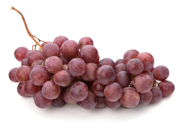 stock image Red grape