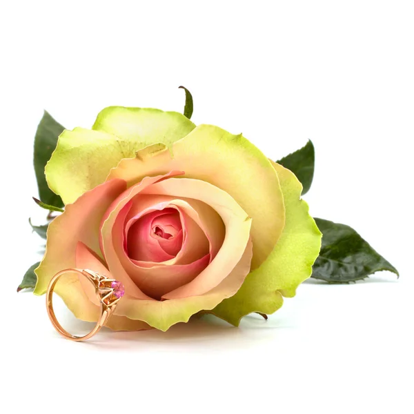 Beautiful rose with wedding ring isolated on white background — Stock Photo, Image