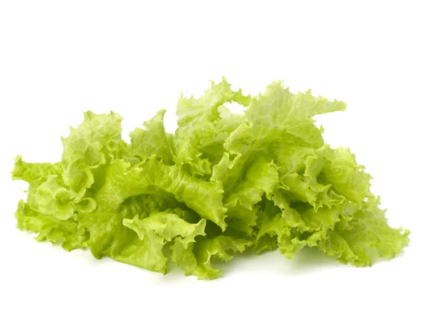 Salatsalat — Stockfoto