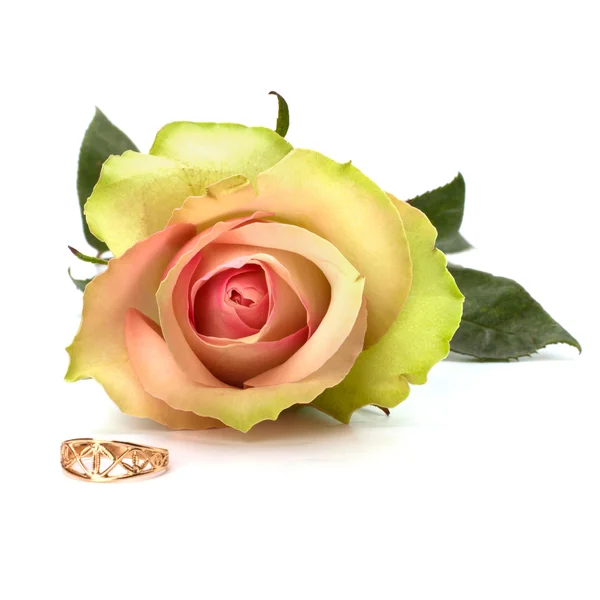 Beautiful rose with wedding ring isolated on white background — Stock Photo, Image