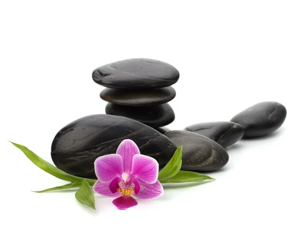 Zen pebbles balance. Spa and healthcare concept. — Stock Photo, Image