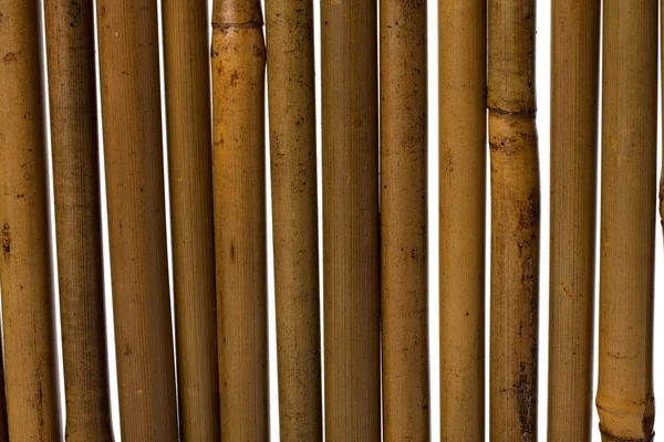 stock image Bamboo stems background