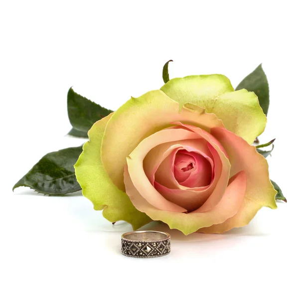 Красивая роза с обручальным кольцом на белом фоне — стоковое фото
