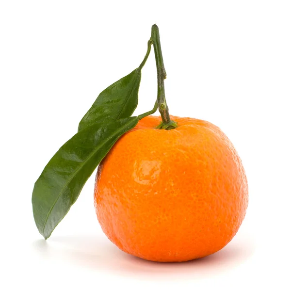 Rijp smakelijke tangerine — Stockfoto