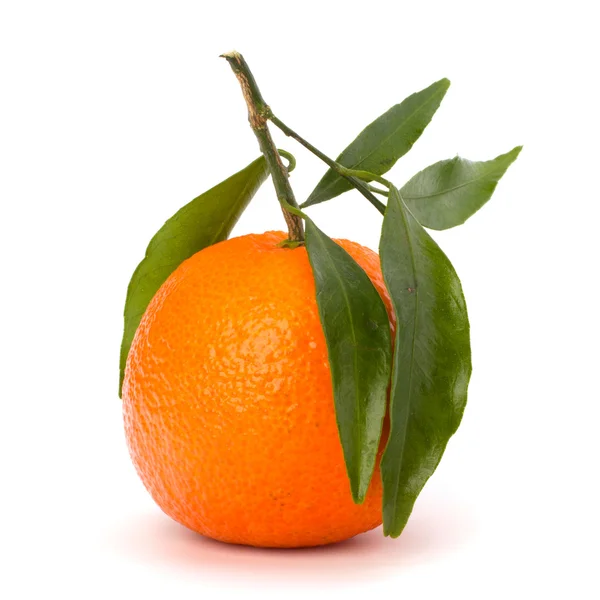 Ripe tasty tangerine — Stock Photo, Image