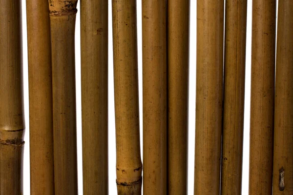 stock image Bamboo stems background