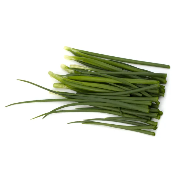 stock image Spring onion