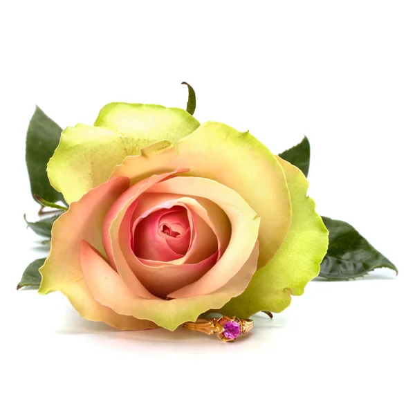 Όμορφο τριαντάφυλλο με το γαμήλιο δαχτυλίδι που απομονώνονται σε λευκό φόντο — Φωτογραφία Αρχείου