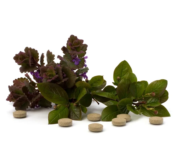 Medicina a base di erbe isolato su sfondo bianco — Foto Stock