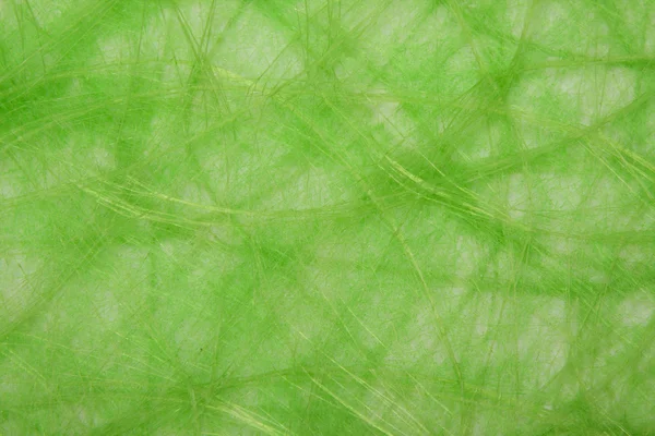 自然の緑のサイザル麻の背景 — ストック写真