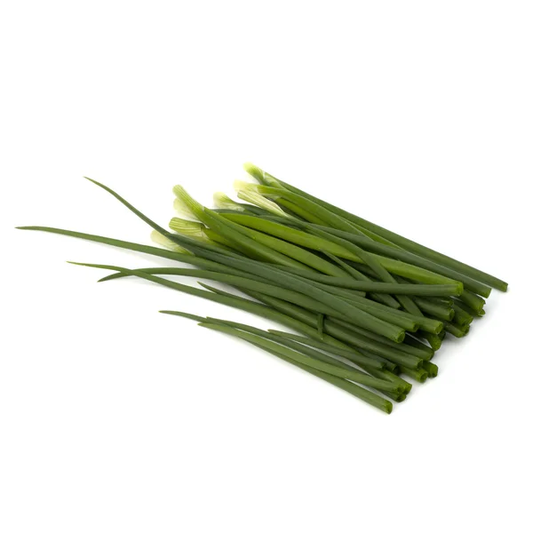 stock image Spring onion