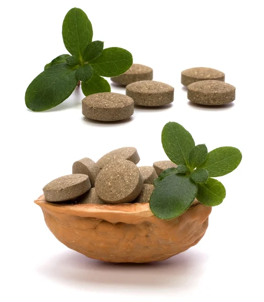 stock image Herbal pills