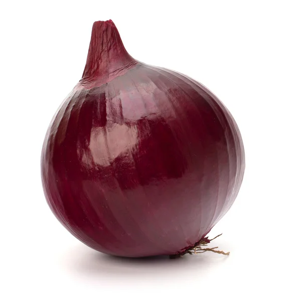 Kırmızı soğan yumru — Stok fotoğraf