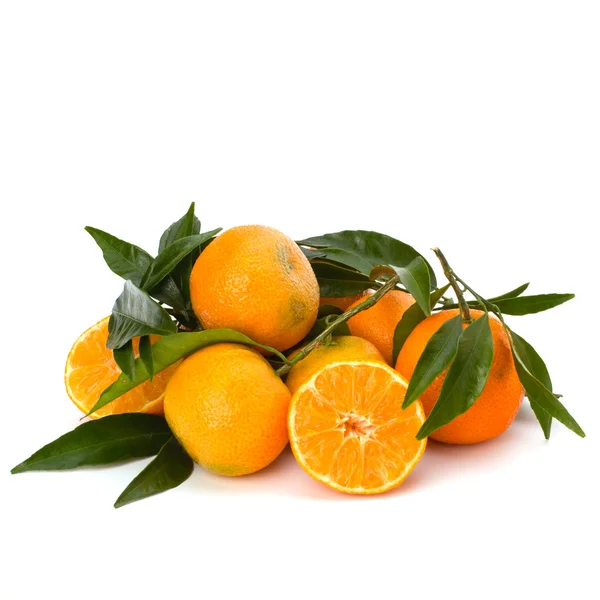 Tangerine — Stok Foto