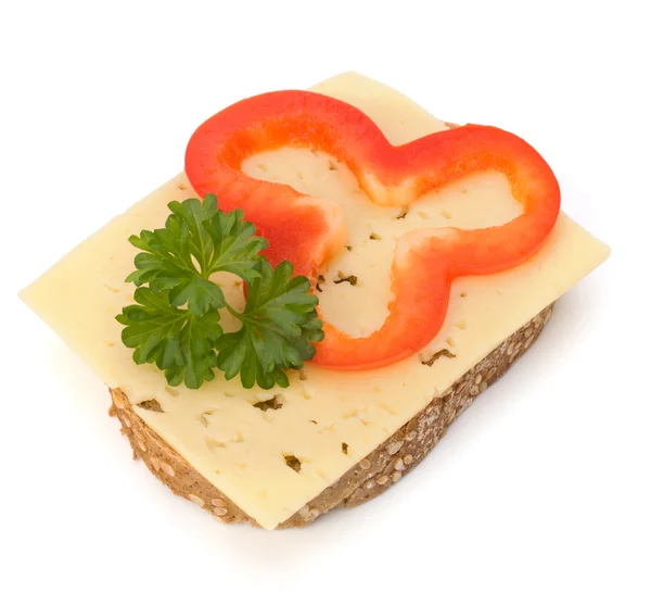 Sandwich santé aux légumes — Photo
