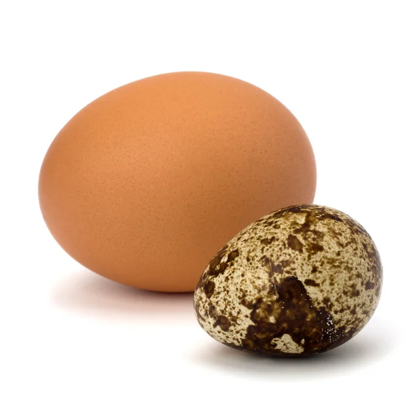 Codornizes e ovos de galinha — Fotografia de Stock