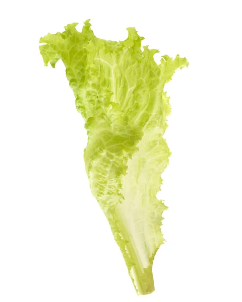 Салат из салата — стоковое фото