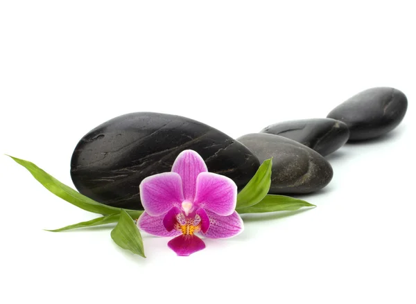 stock image Zen pebbles path. Spa and healthcare concept.