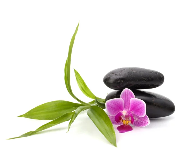 stock image Zen pebbles balance. Spa and healthcare concept.