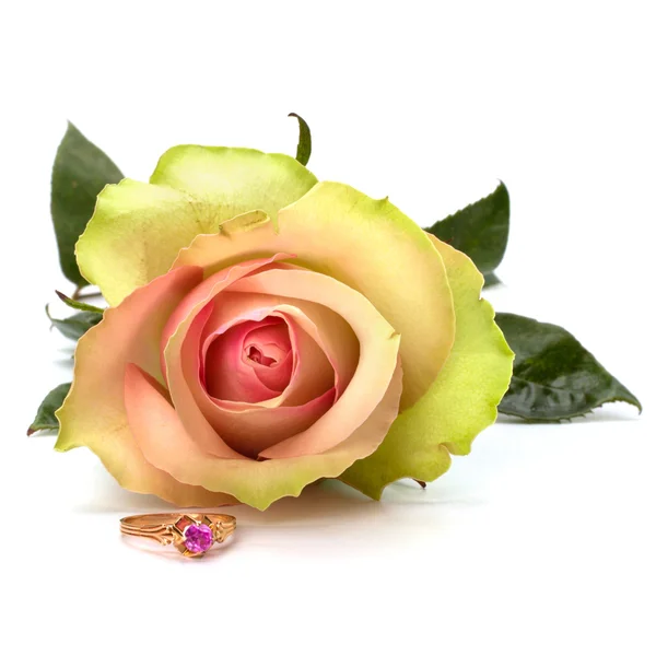 Όμορφο τριαντάφυλλο με το γαμήλιο δαχτυλίδι — Φωτογραφία Αρχείου