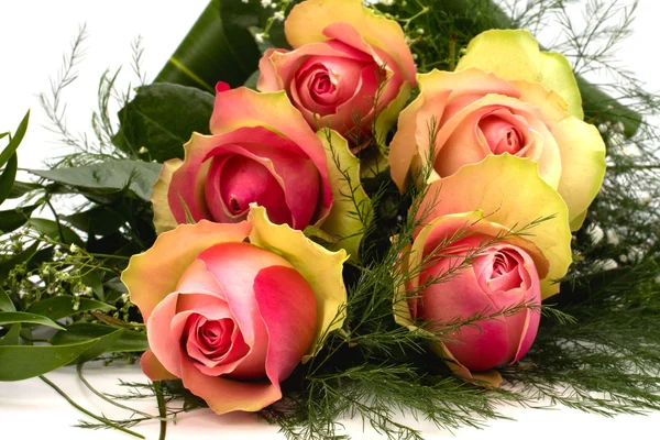 Hermosas rosas — Foto de Stock
