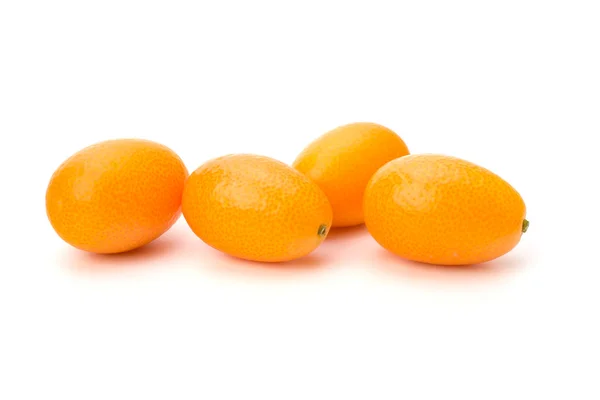 stock image Cumquat or kumquat