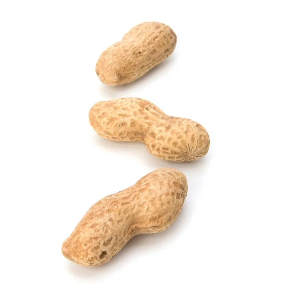 stock image Peanut