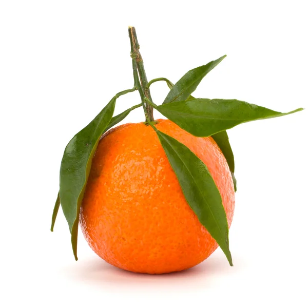 Dojrzałe smaczny mandarynka — Zdjęcie stockowe