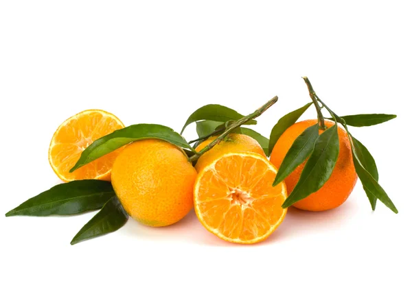 Stock image Tangerines