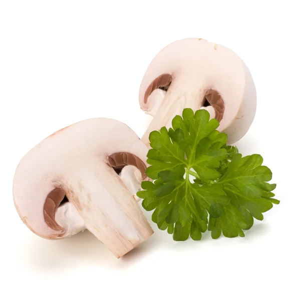 stock image Champignon mushroom and fresh parsley