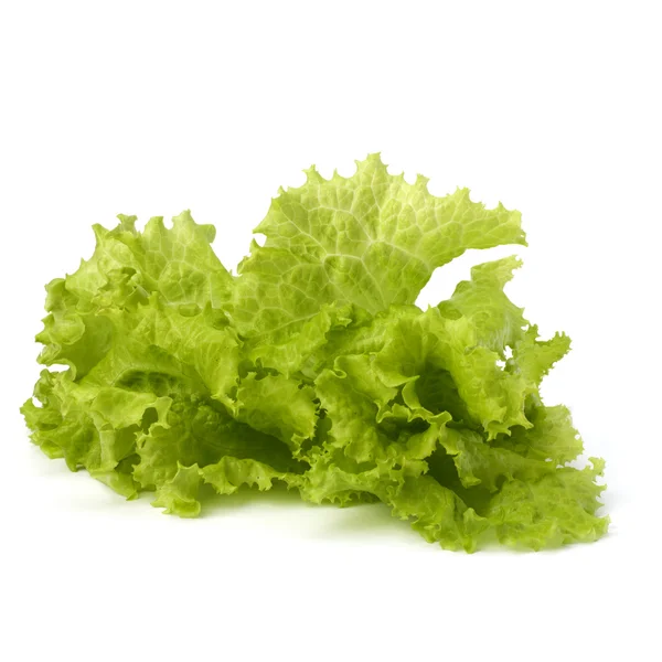 Salade sla — Stockfoto