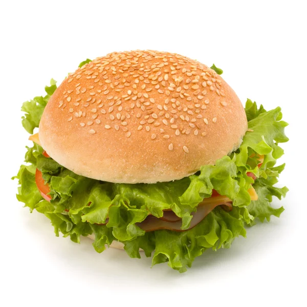 stock image Junk food hamburger