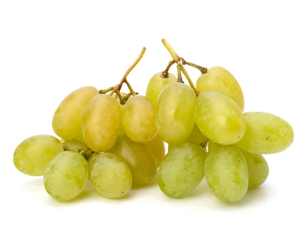 Perfect bunch of white grapes — Stock Photo, Image