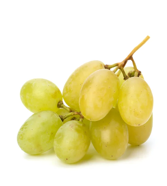 stock image Perfect bunch of white grapes